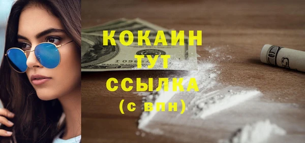 прущие грибы Зеленодольск