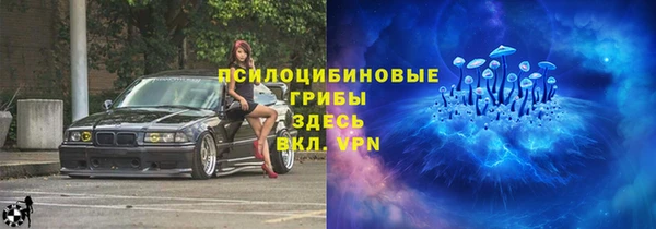 Альфа ПВП Зеленокумск